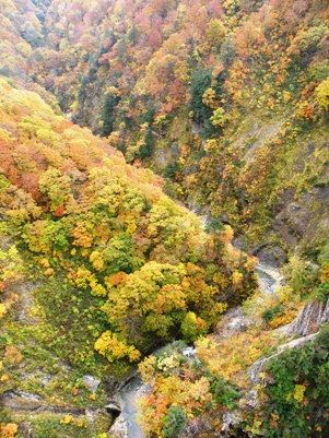 城ヶ倉渓流　秋の光景