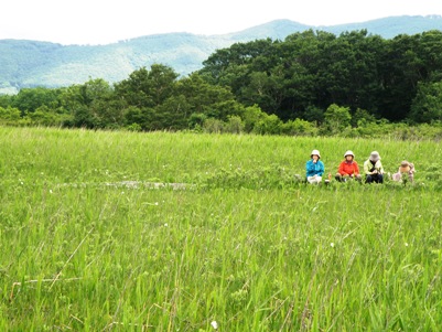田代湿原と観光客