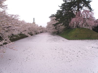 弘前城 弘前公園 の桜