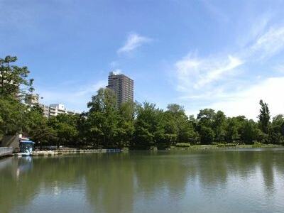 札幌　中島公園の菖蒲池