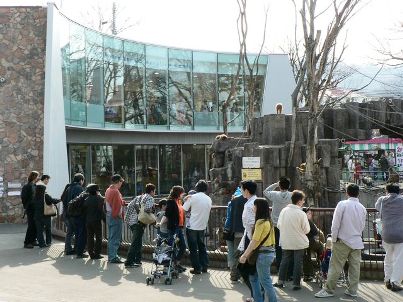 札幌市円山動物園のサル
