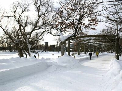 中島公園　冬の光景