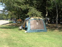 知床のキャンプ