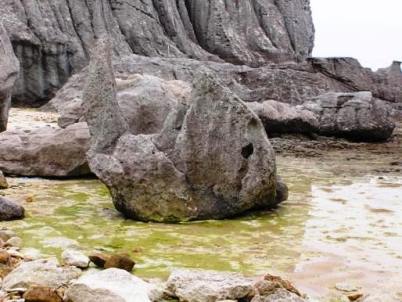 仏ヶ浦　魚の形の岩