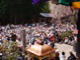 天台寺　春の例大祭