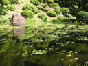 黒森山　浄仙寺の池