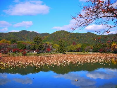 大沢池　秋の光景