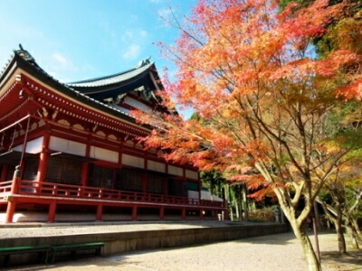 紅葉の比叡山　延暦寺