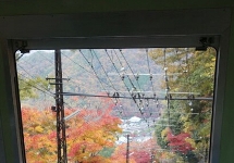 比叡山ケーブル　車窓からの眺め