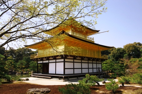 金閣寺の桜