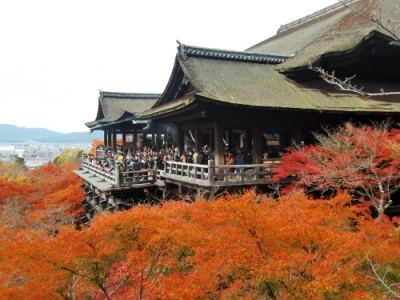 奥の院から見た清水寺の紅葉
