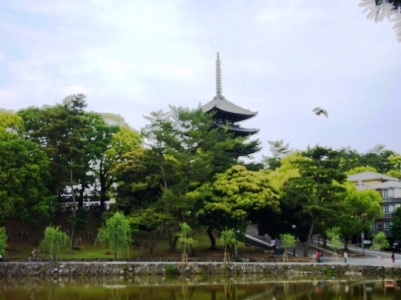 猿沢池と五重塔