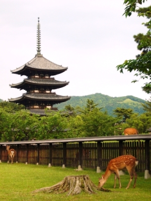 奈良公園の鹿と五重塔