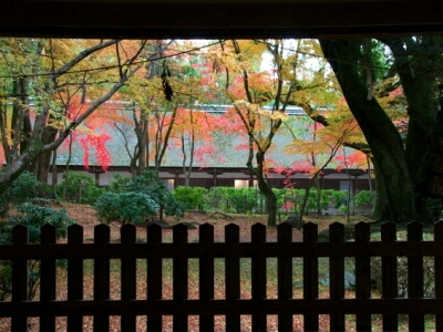 上賀茂神社　境内の光景