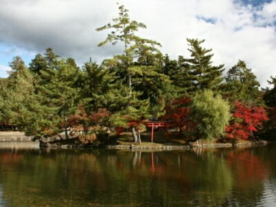 奈良公園の池