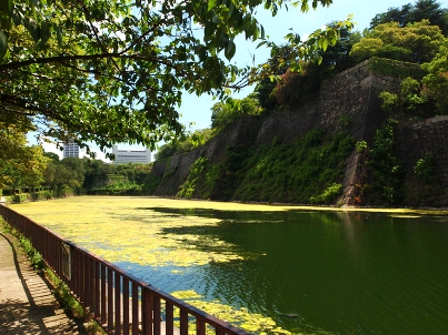 大阪城　内堀の光景