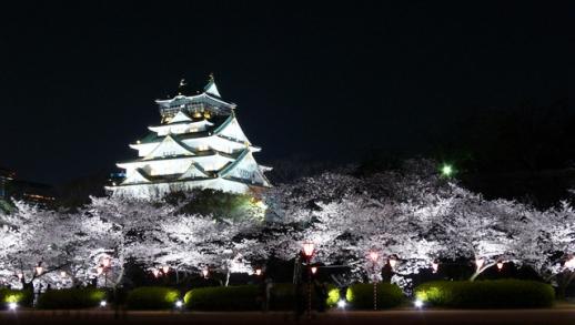 大阪城　桜のライトアップ
