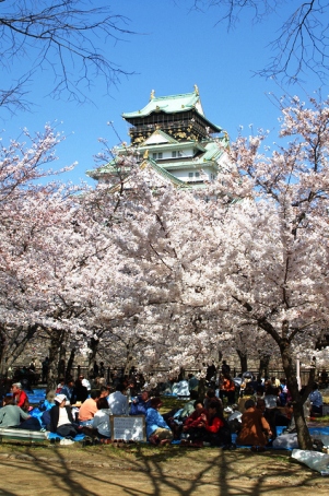 大阪城の花見客