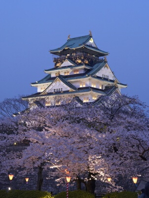大阪城の桜　夜のライトアップ