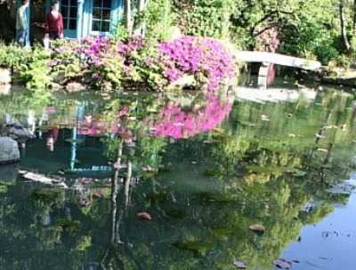 四天王寺　極楽の池と八角亭