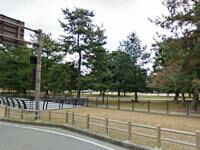 奈良公園の車道