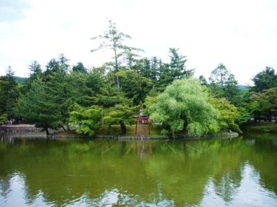 初夏の東大寺　鏡池