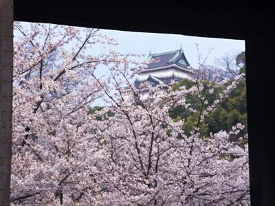 和歌山城　岡口門から見た桜