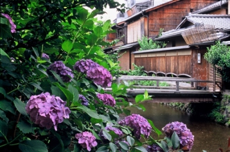 京都祇園の白川
