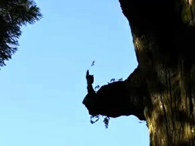 �����_�{�@���_��