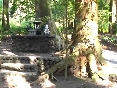 �����_�{�@�R�_��