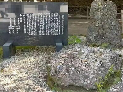 �����_�{�@�������