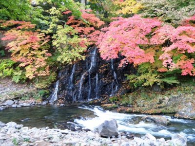 不動の滝の紅葉