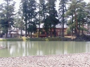 大泉が池と毛越寺