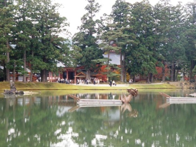 毛越寺浄土庭園