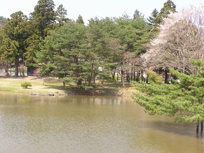 春の平泉　舞鶴が池