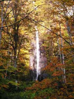 紅葉の奥入瀬渓流　白布の滝