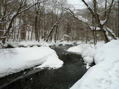 冬の奥入瀬渓流　遊歩道