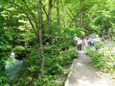 奥入瀬渓流の観光