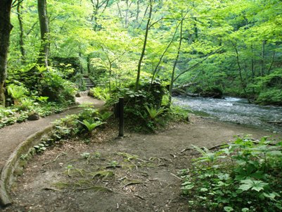 奥入瀬渓流の遊歩道
