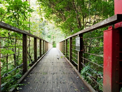 比地大滝の赤い吊り橋