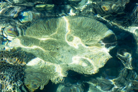 池間島の珊瑚