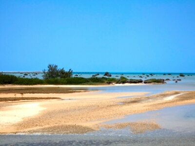 佐和田の浜　干潮時の光景