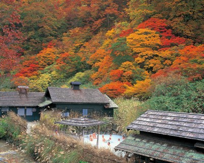 鶴の湯温泉の紅葉