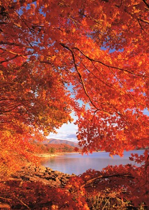 田沢湖の紅葉