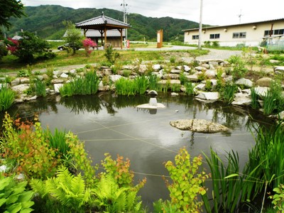 卯子酉様の池