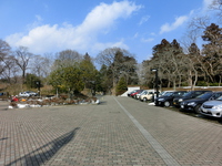 仙台市博物館の駐車場